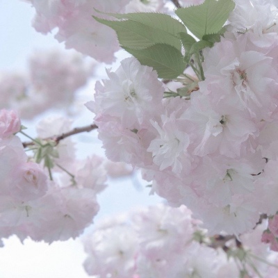 兽设原创设计欣赏Furry群